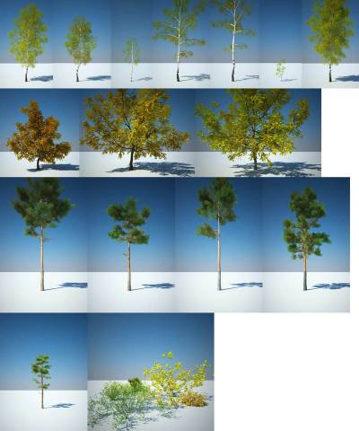 Модели Деревьев для 3Ds Max