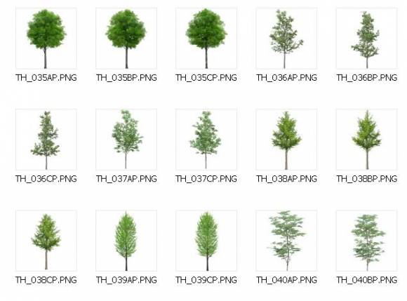 Коллекция векторных клипартов Деревья
